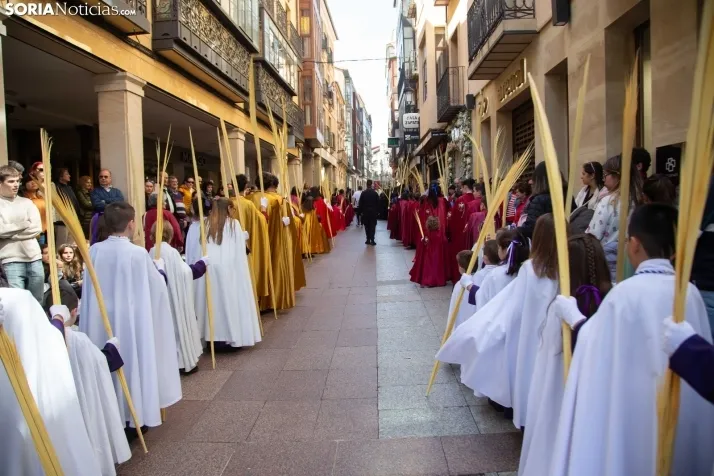 Procesión de La Borriquilla Soria 2024