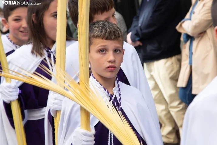 Procesión de La Borriquilla Soria 2024