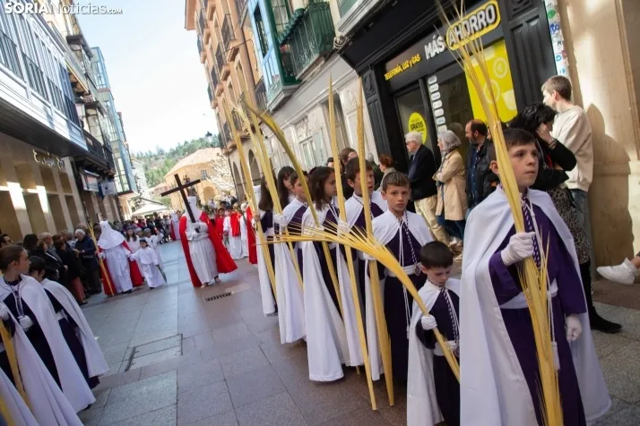 Procesión de La Borriquilla Soria 2024
