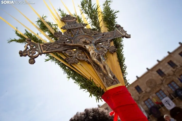 Procesión de La Borriquilla Soria 2024