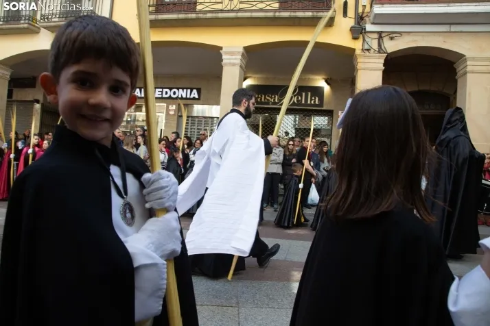 Procesión de La Borriquilla Soria 2024