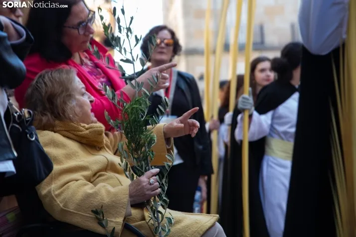 Procesión de La Borriquilla Soria 2024