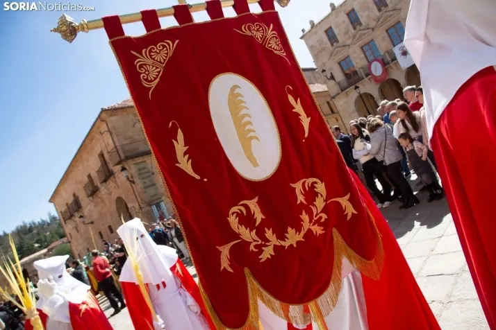 Procesión de La Borriquilla Soria 2024