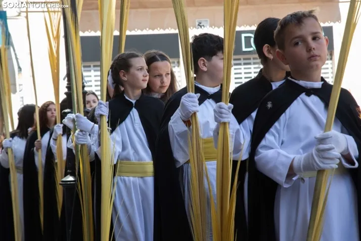 Procesión de La Borriquilla Soria 2024