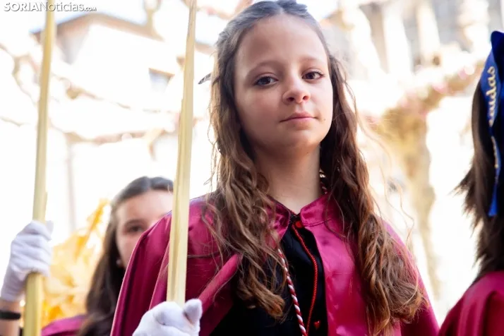 Procesión de La Borriquilla Soria 2024