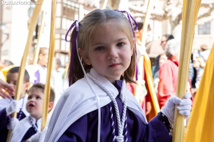 Procesión de La Borriquilla Soria 2024