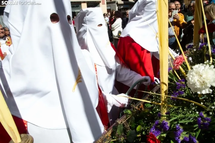 Procesión de La Borriquilla Soria 2024