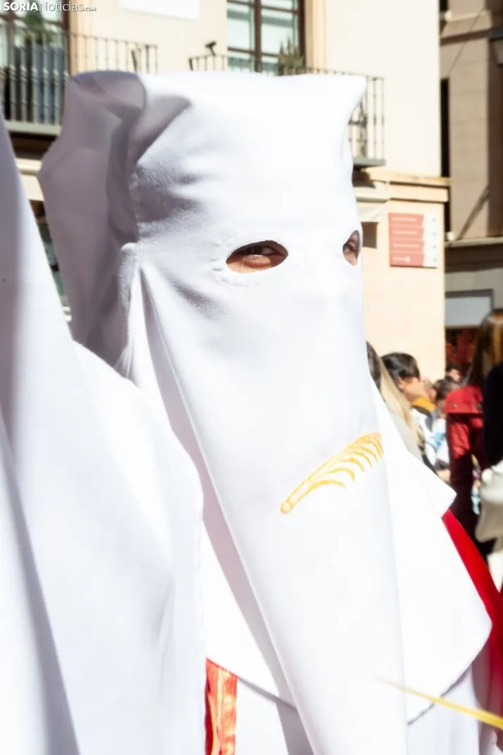Procesión de La Borriquilla Soria 2024