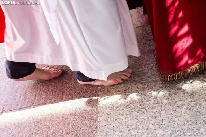 Procesión de La Borriquilla Soria 2024