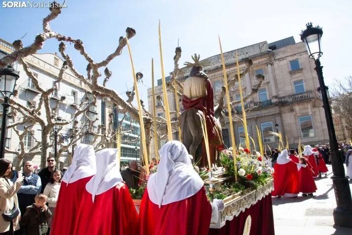 Procesión de La Borriquilla Soria 2024