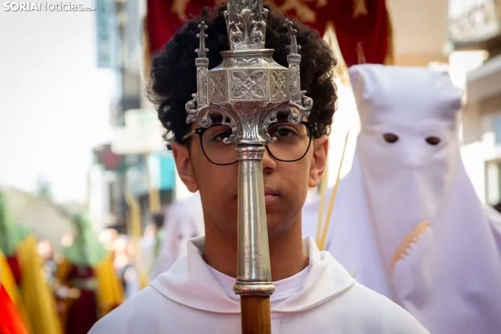 Procesión de La Borriquilla Soria 2024