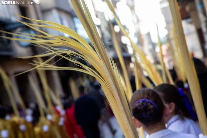 Procesión de La Borriquilla Soria 2024