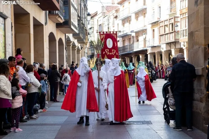 Procesión de La Borriquilla Soria 2024