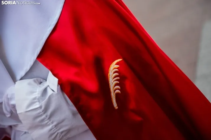 Procesión de La Borriquilla Soria 2024