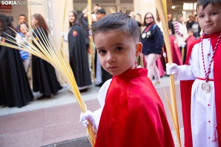Procesión de La Borriquilla Soria 2024