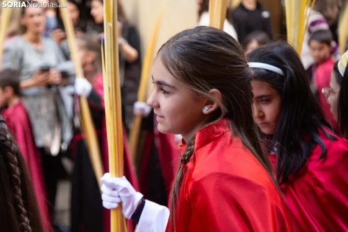 Procesión de La Borriquilla Soria 2024