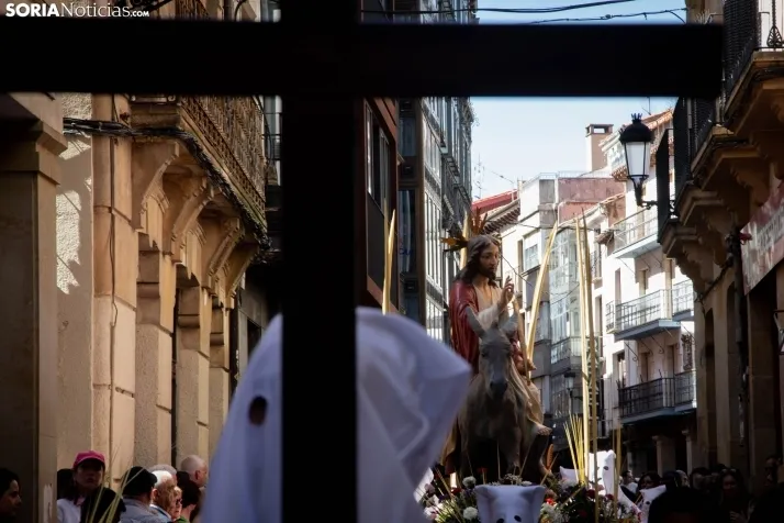 Procesión de La Borriquilla Soria 2024