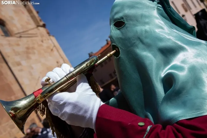 Procesión de La Borriquilla Soria 2024
