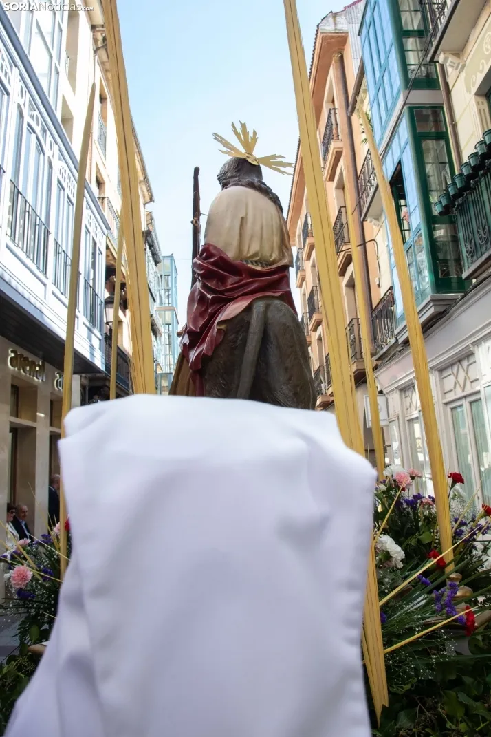 Procesión de La Borriquilla Soria 2024
