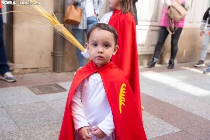 Procesión de La Borriquilla Soria 2024