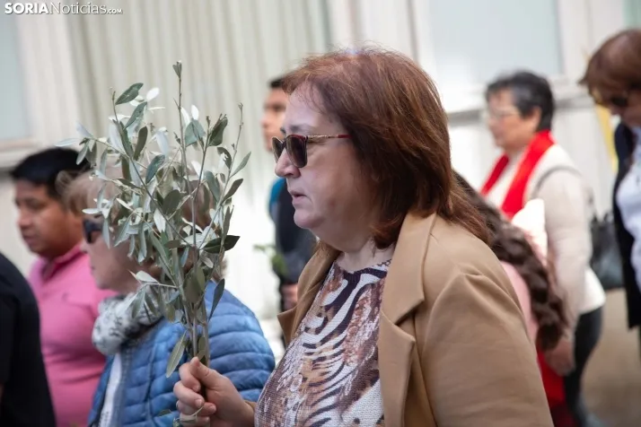 Procesión de La Borriquilla Soria 2024