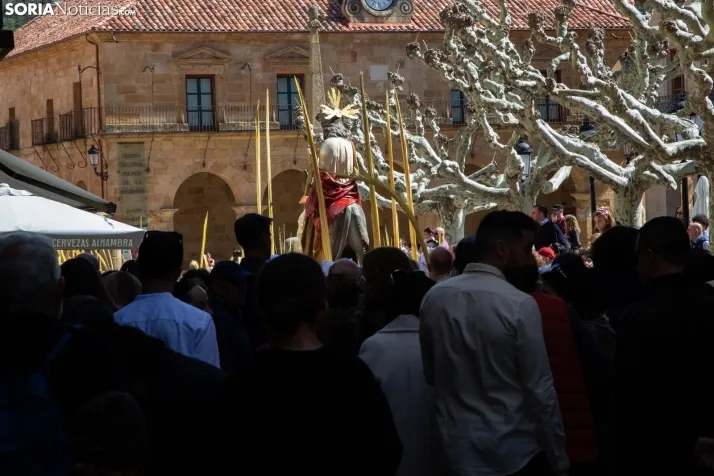 Procesión de La Borriquilla Soria 2024
