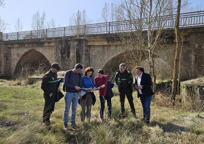 Almazán planifica la restauración de su puente medieval