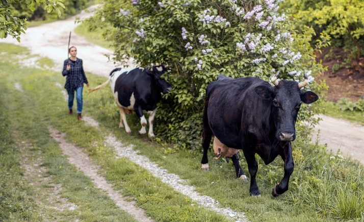 El viernes 15, jornada sobre la mujer rural en San Esteban de Gormaz