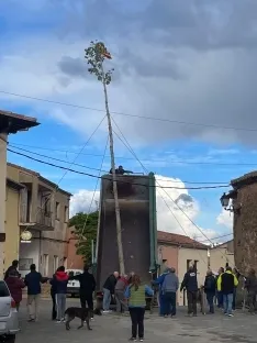 Una imagen del izado del chopo. /LPG
