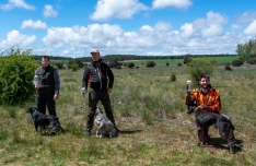 Foto 3 - Luis Gonzalo Coloma, con 'Alenergi Moria' se lleva el 'San Huberto' de adiestramiento de perros