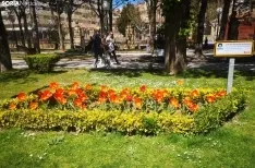 Un parterre de la Dehesa dedicado a los enfermos de Párkinson. 