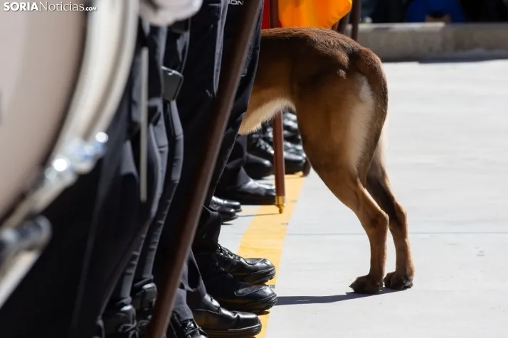 Comisaría Policía Nacional de Soria