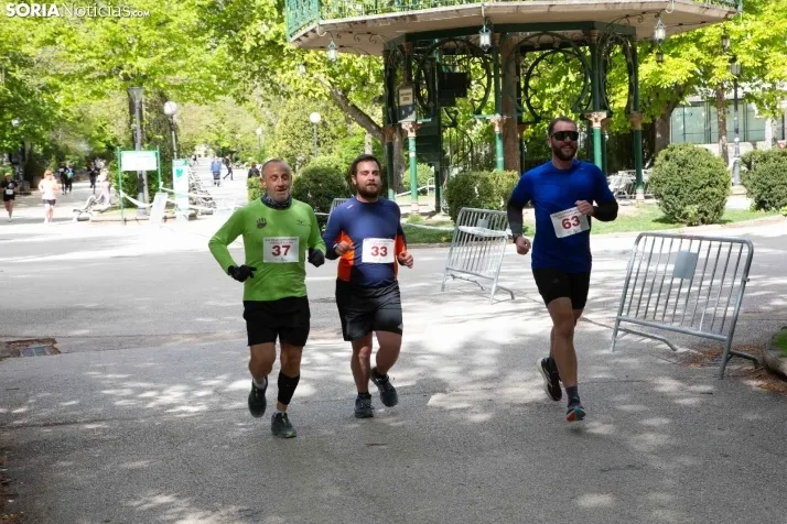 Día de Castilla y León en Soria 