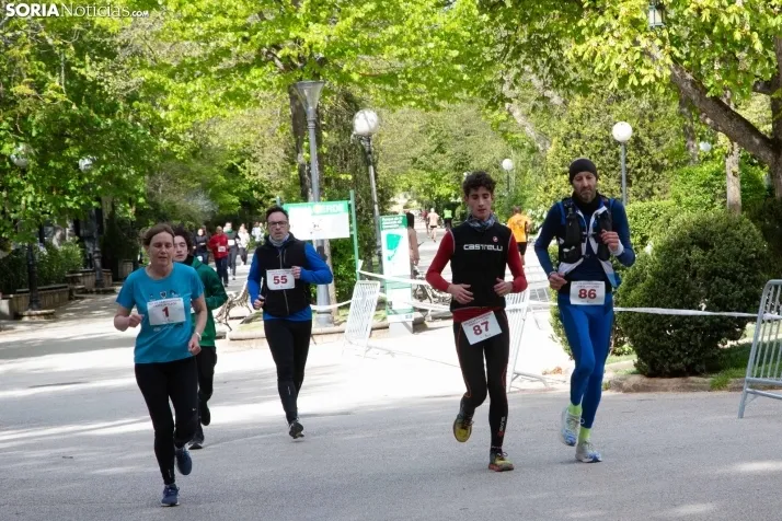 Día de Castilla y León en Soria 
