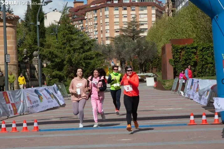 Día de Castilla y León en Soria 