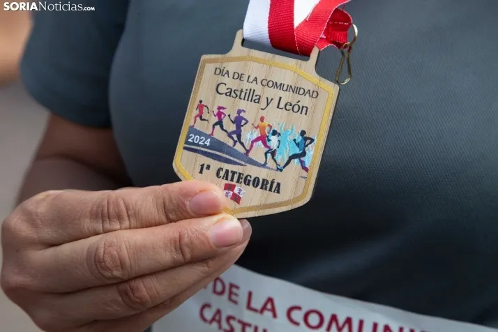 Día de Castilla y León en Soria 