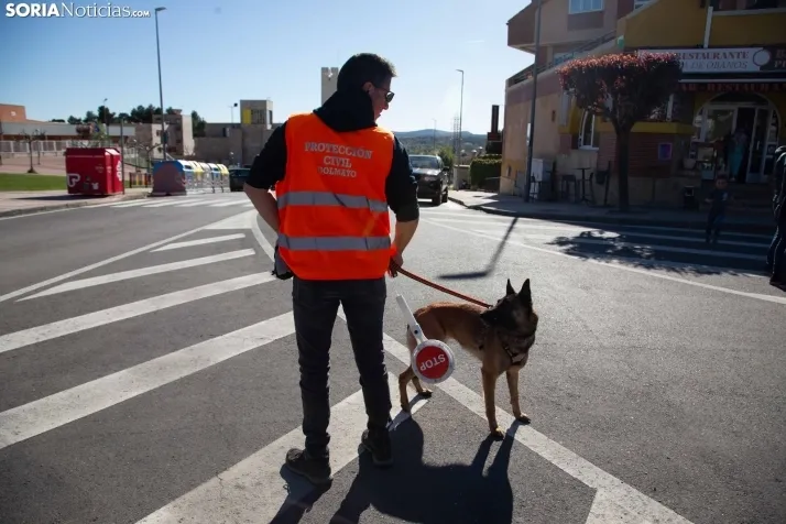 Gigantalia de Golmayo 2024