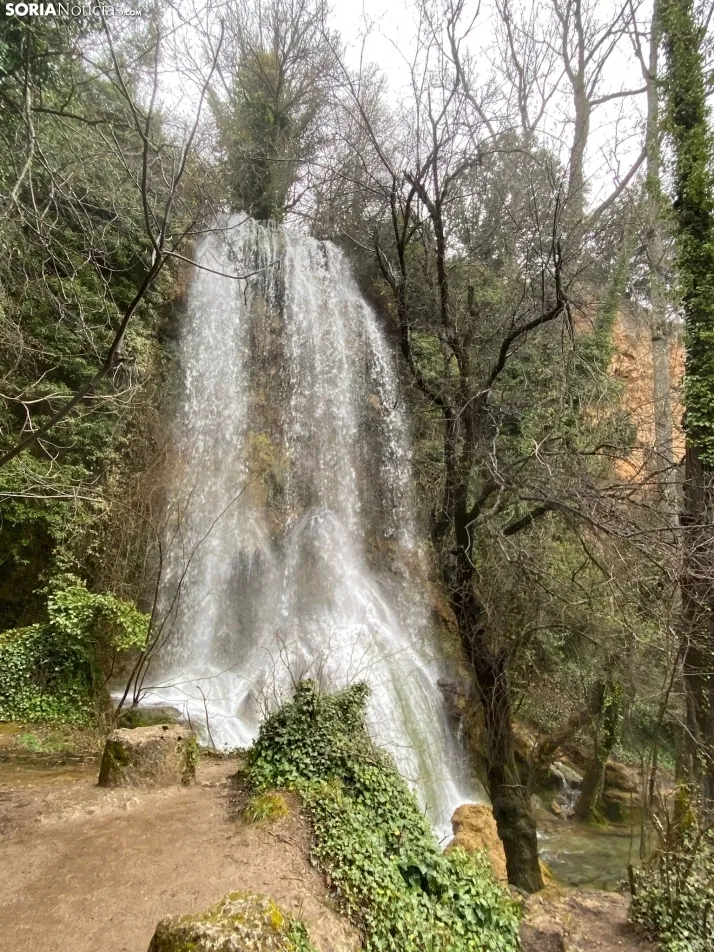 El paraje de La Toba, en Fuentetoba. SN