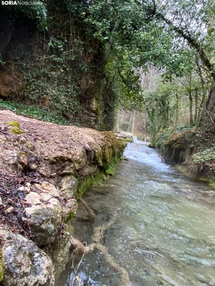 El paraje de La Toba, en Fuentetoba. SN