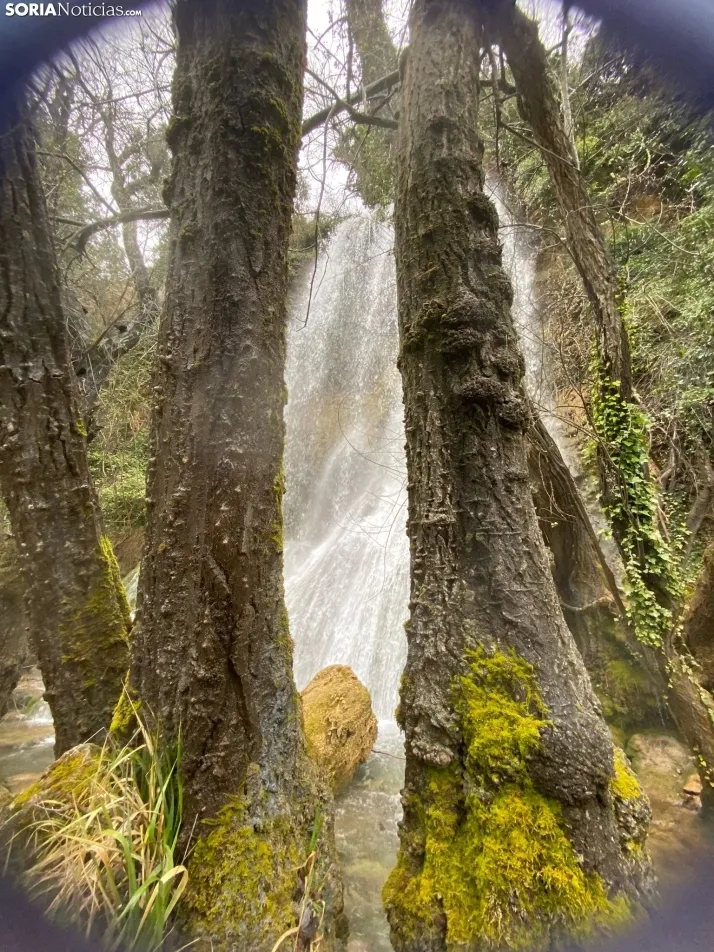El paraje de La Toba, en Fuentetoba. SN