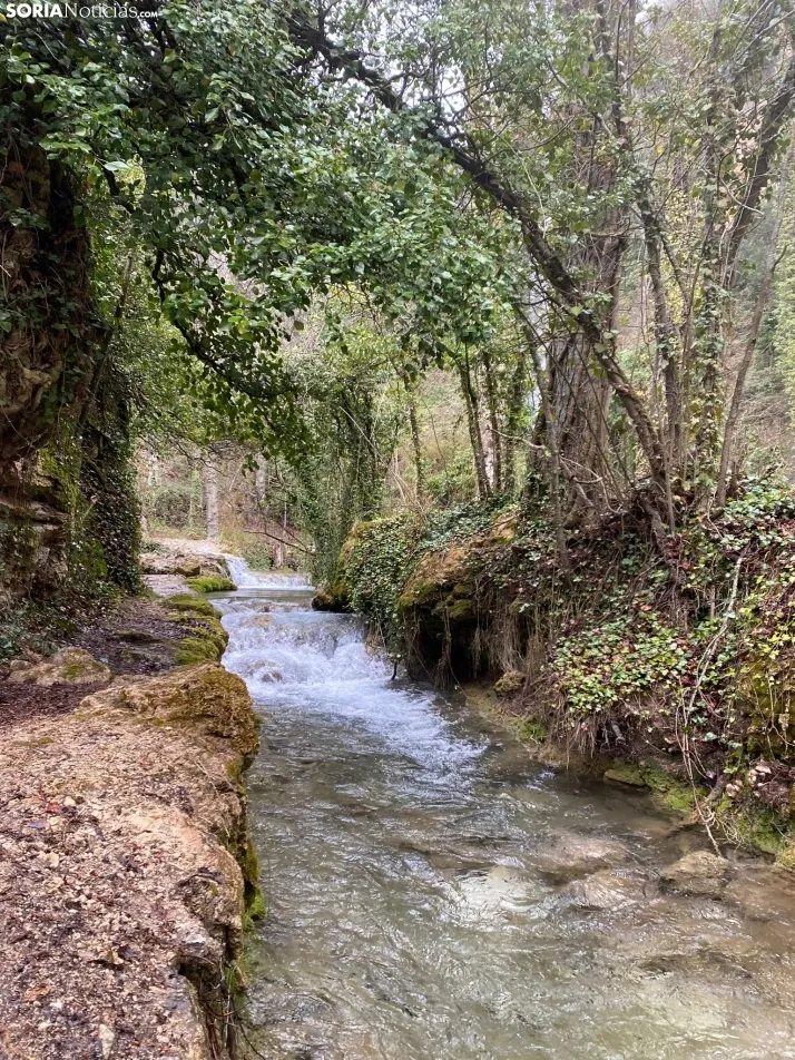 El paraje de La Toba, en Fuentetoba. SN
