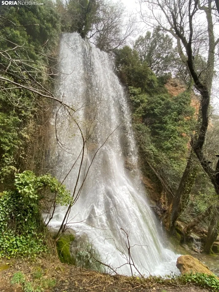 El paraje de La Toba, en Fuentetoba. SN