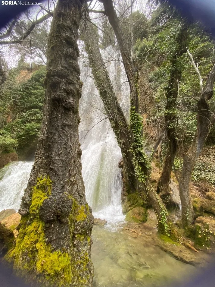 El paraje de La Toba, en Fuentetoba. SN