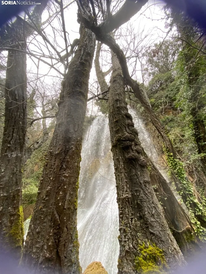 El paraje de La Toba, en Fuentetoba. SN
