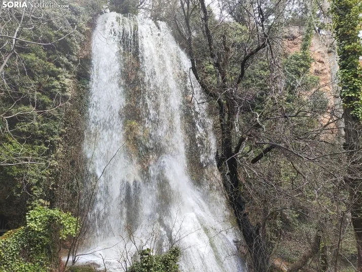 El paraje de La Toba (Fuentetoba).  SN
