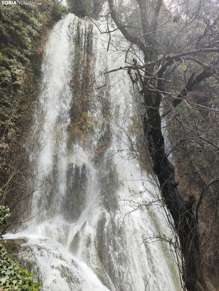 El paraje de La Toba (Fuentetoba).  SN
