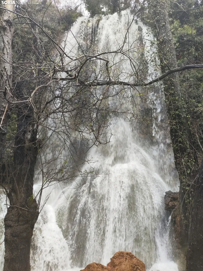 El paraje de La Toba (Fuentetoba).  SN