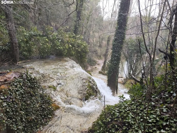 El paraje de La Toba (Fuentetoba).  SN