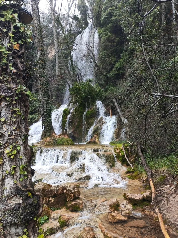 El paraje de La Toba (Fuentetoba).  SN