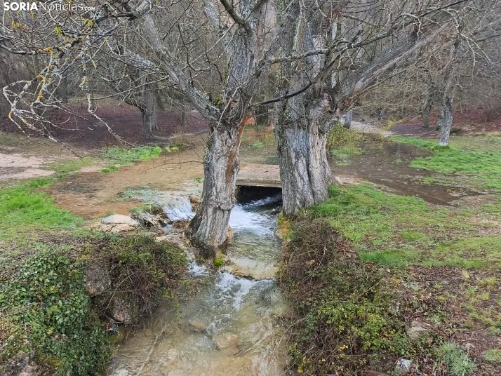 El paraje de La Toba (Fuentetoba).  SN